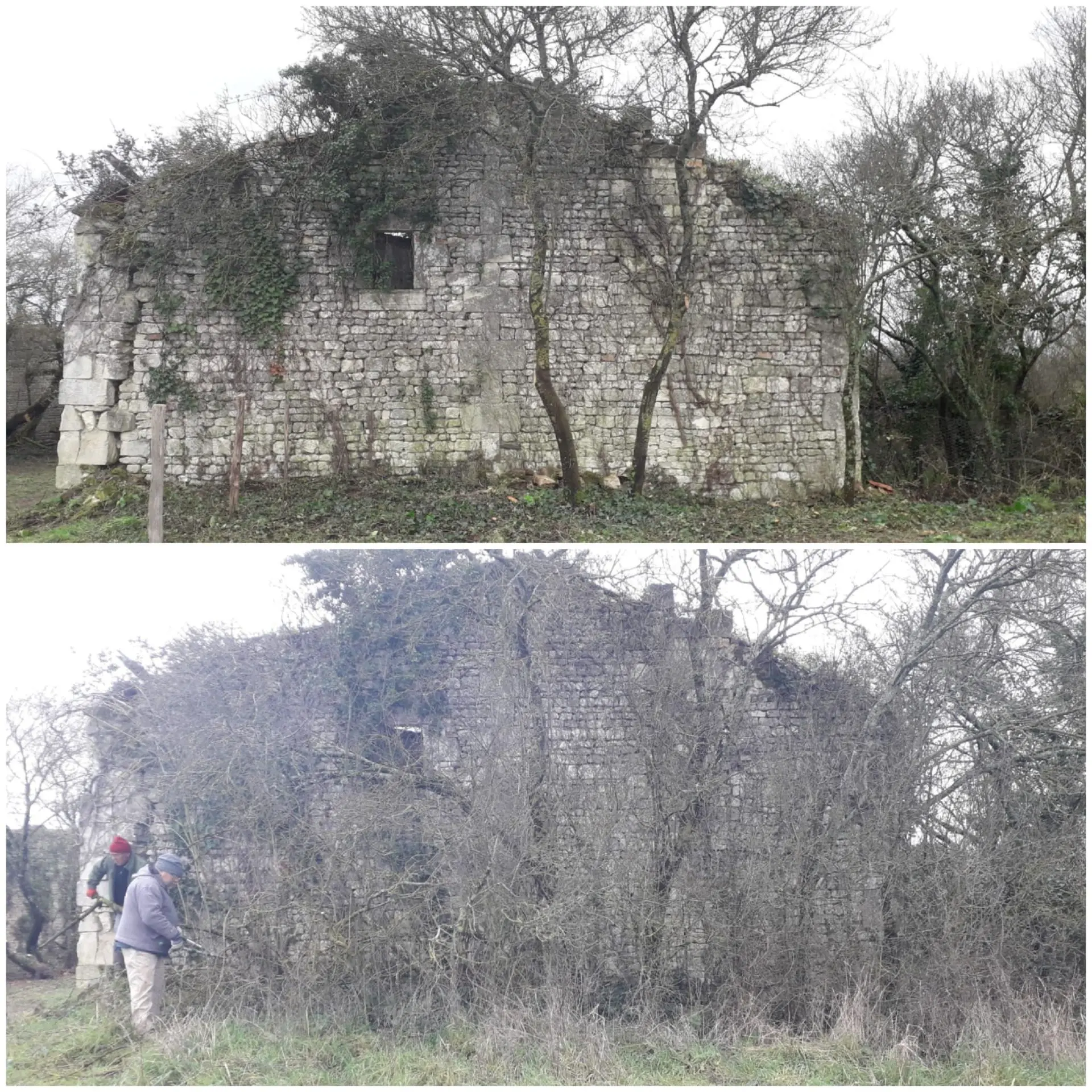 Exemple de suppression de la végétation Restauration, suppression de la végétation